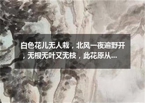 白色花儿无人栽，北风一夜遍野开，无根无叶又无枝，此花原从天上来。（打一自然现象）