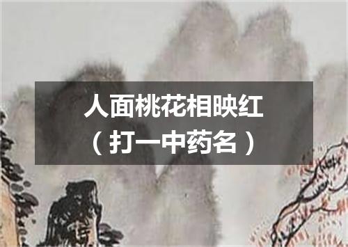 人面桃花相映红（打一中药名）