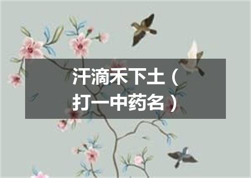 汗滴禾下土（打一中药名）
