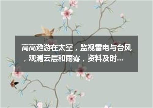 高高邀游在太空，监视雷电与台风，观测云层和雨雾，资料及时报与人。（打一气象用具）