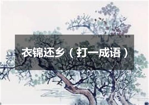 衣锦还乡（打一成语）