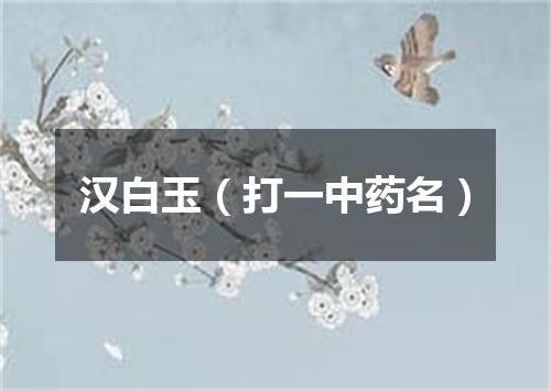 汉白玉（打一中药名）