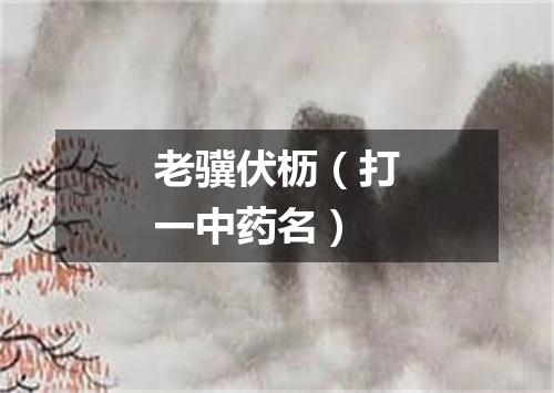 老骥伏枥（打一中药名）