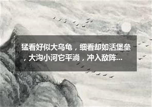 猛看好似大乌龟，细看却如活堡垒，大沟小河它平淌，冲入敌阵显神威。（打一军事装备）