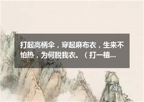 打起高柄伞，穿起麻布衣，生来不怕热，为何脱我衣。（打一植物）