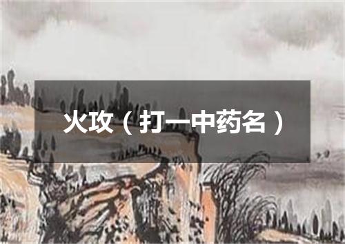 火攻（打一中药名）