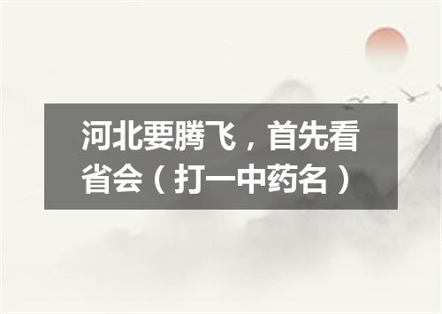 河北要腾飞，首先看省会（打一中药名）