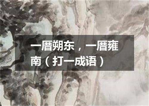 一厝朔东，一厝雍南（打一成语）