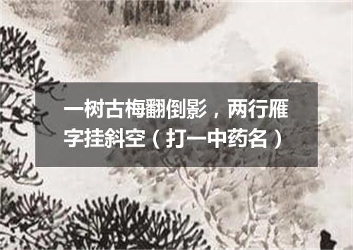 一树古梅翻倒影，两行雁字挂斜空（打一中药名）