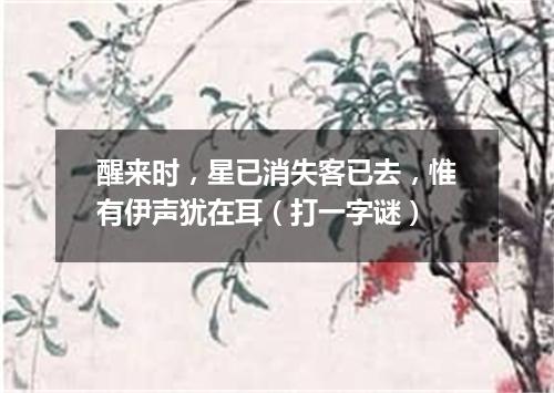 醒来时，星已消失客已去，惟有伊声犹在耳（打一字谜）