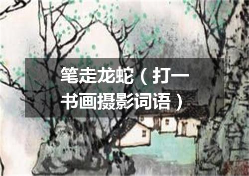 笔走龙蛇（打一书画摄影词语）