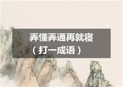 弄懂弄通再就寝（打一成语）
