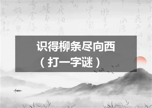 识得柳条尽向西（打一字谜）