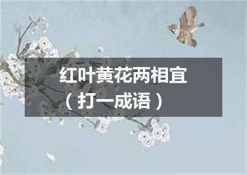 红叶黄花两相宜（打一成语）