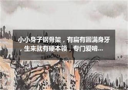 小小身子钢骨架，有扁有圆满身牙，生来就有硬本领，专门爱啃硬疙瘩。（打一常用物）