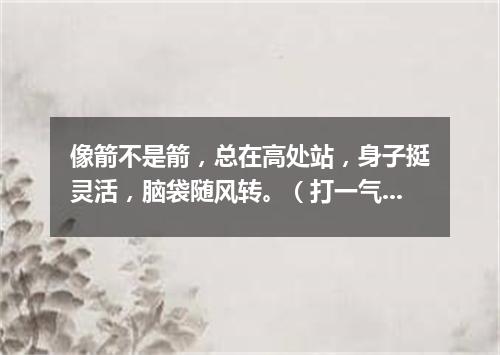 像箭不是箭，总在高处站，身子挺灵活，脑袋随风转。（打一气象用具）