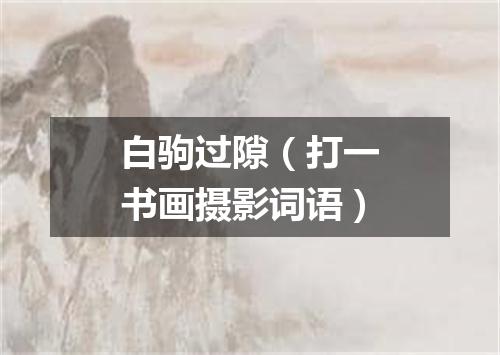 白驹过隙（打一书画摄影词语）