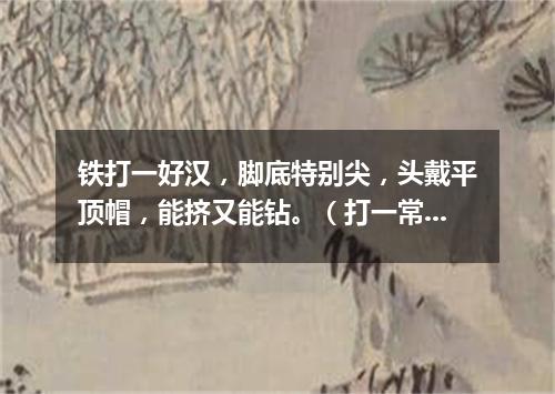 铁打一好汉，脚底特别尖，头戴平顶帽，能挤又能钻。（打一常用物）