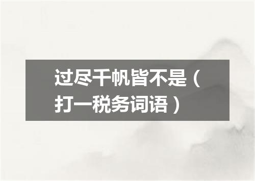 过尽千帆皆不是（打一税务词语）