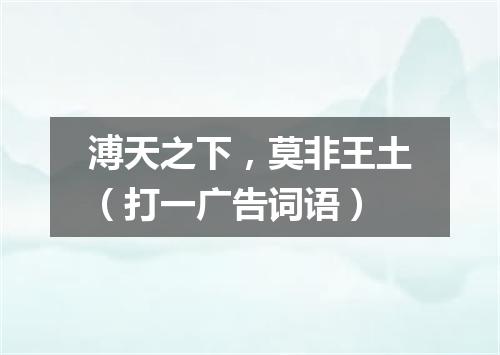 溥天之下，莫非王土（打一广告词语）