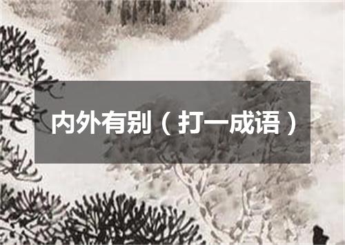 内外有别（打一成语）