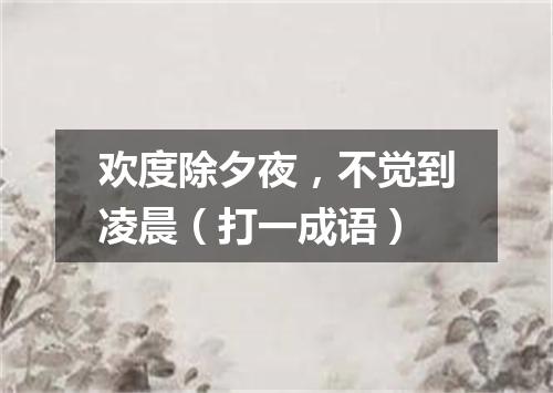 欢度除夕夜，不觉到凌晨（打一成语）