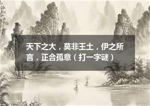 天下之大，莫非王土，伊之所言，正合孤意（打一字谜）