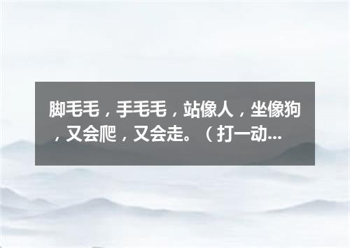 脚毛毛，手毛毛，站像人，坐像狗，又会爬，又会走。（打一动物）
