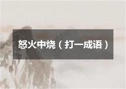 怒火中烧（打一成语）