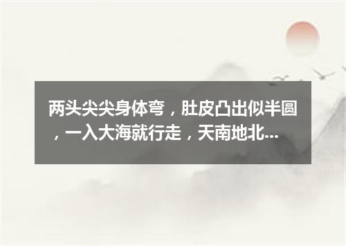 两头尖尖身体弯，肚皮凸出似半圆，一入大海就行走，天南地北游个遍。（打一交通工具）
