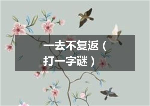 一去不复返（打一字谜）