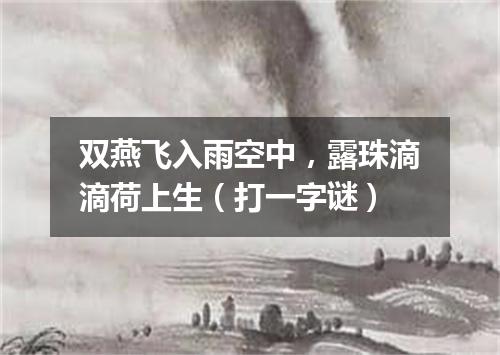 双燕飞入雨空中，露珠滴滴荷上生（打一字谜）