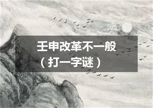 壬申改革不一般（打一字谜）