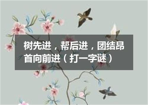 树先进，帮后进，团结昂首向前进（打一字谜）