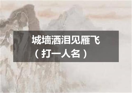 城墙洒泪见雁飞（打一人名）