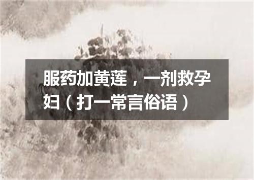服药加黄莲，一剂救孕妇（打一常言俗语）