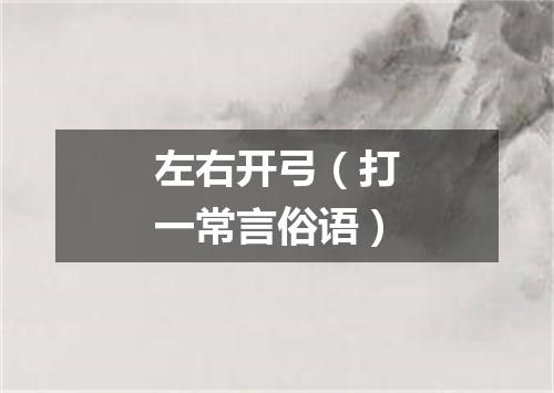 左右开弓（打一常言俗语）