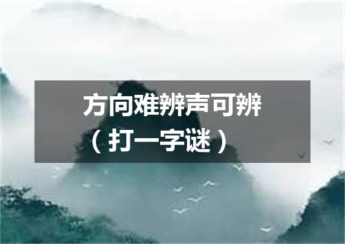 方向难辨声可辨（打一字谜）