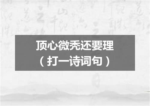 顶心微秃还要理（打一诗词句）