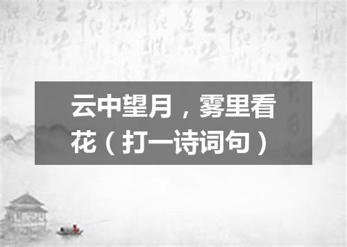 云中望月，雾里看花（打一诗词句）