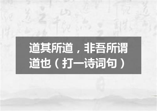 道其所道，非吾所谓道也（打一诗词句）
