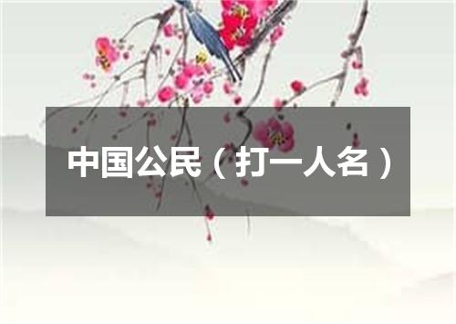 中国公民（打一人名）