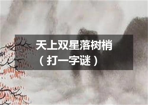 天上双星落树梢（打一字谜）