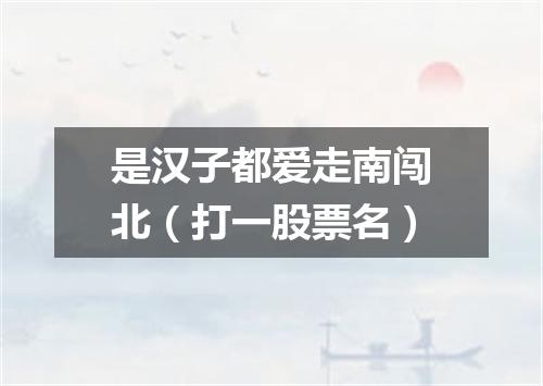 是汉子都爱走南闯北（打一股票名）