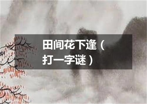 田间花下逢（打一字谜）
