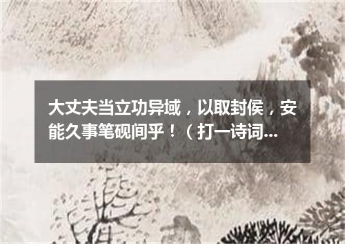 大丈夫当立功异域，以取封侯，安能久事笔砚间乎！（打一诗词句）