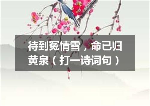 待到冤情雪，命已归黄泉（打一诗词句）