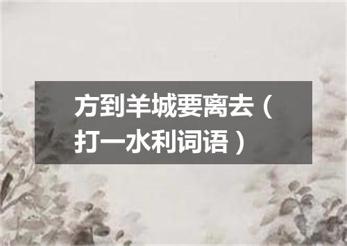 方到羊城要离去（打一水利词语）