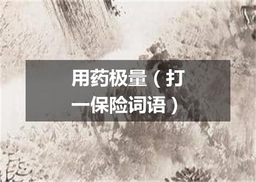 用药极量（打一保险词语）