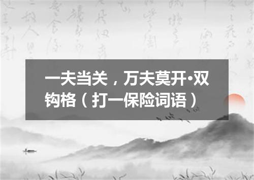 一夫当关，万夫莫开·双钩格（打一保险词语）